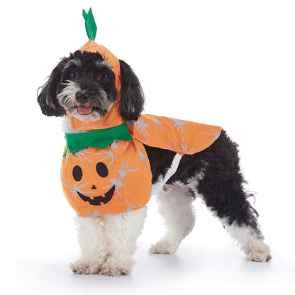 Halloween Dog Costumes