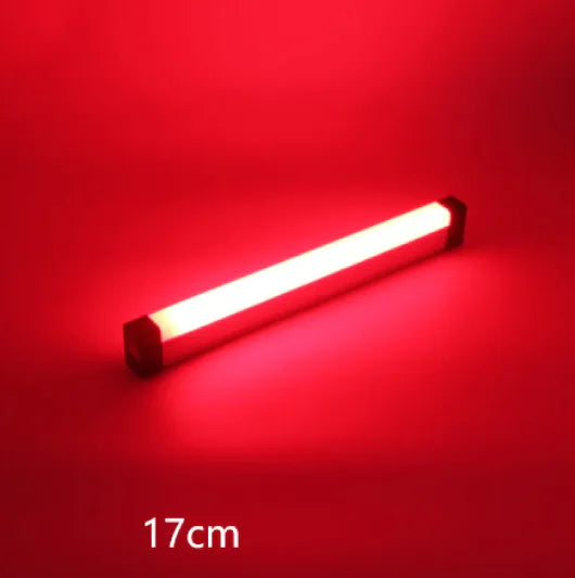 Portable LED Fill Light